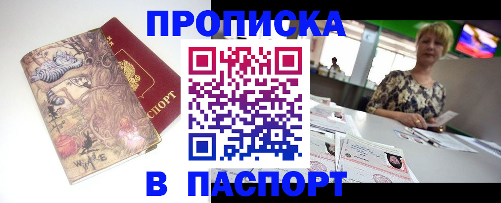 где прописаться в Дальнегорске